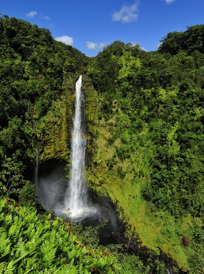 Akaka Falls State Park