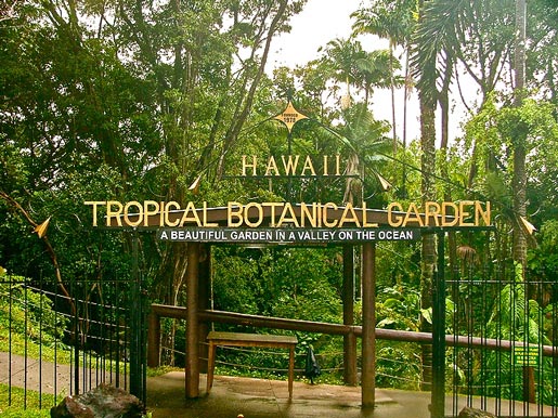 Hawaii Tropical Botanical Gardens