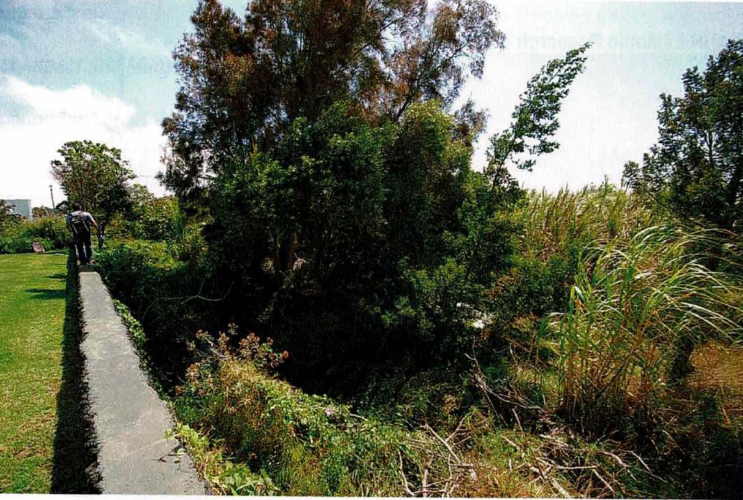 picture of trail Near Kanu o ka ʻAina