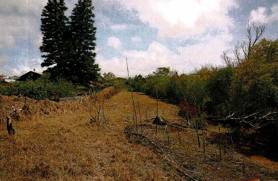 picture of trail west of Opelo Road