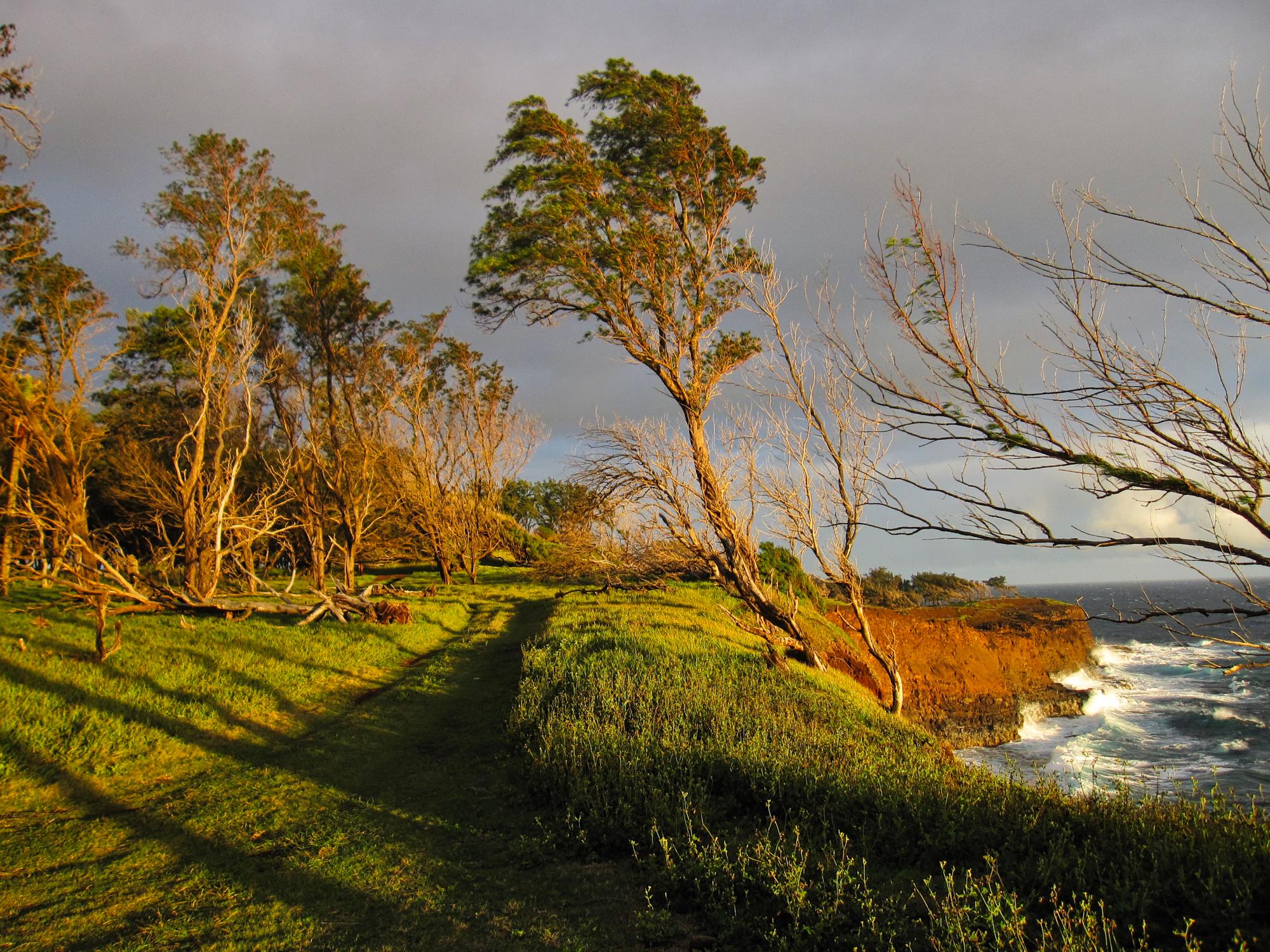 Easement by Keith Wallis Feb 12, 2012