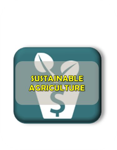 sustainable agriculture3