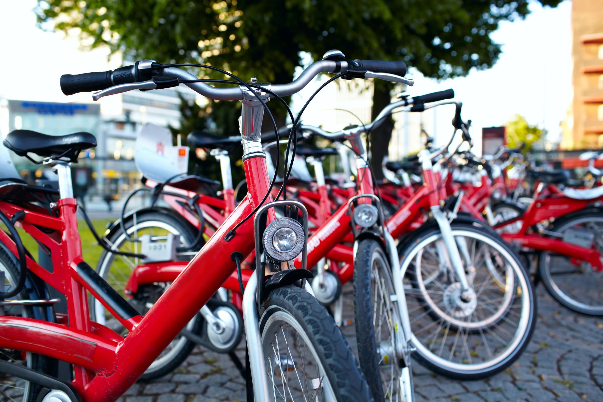 Parked-bicycles-418729