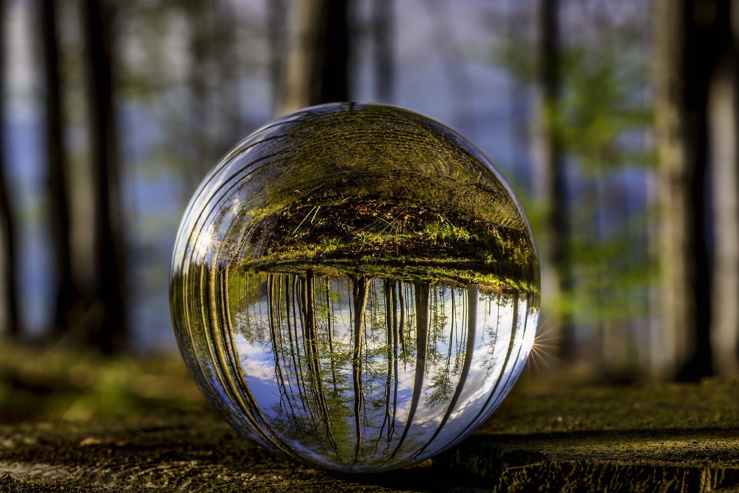 Glass-ball-in-nature