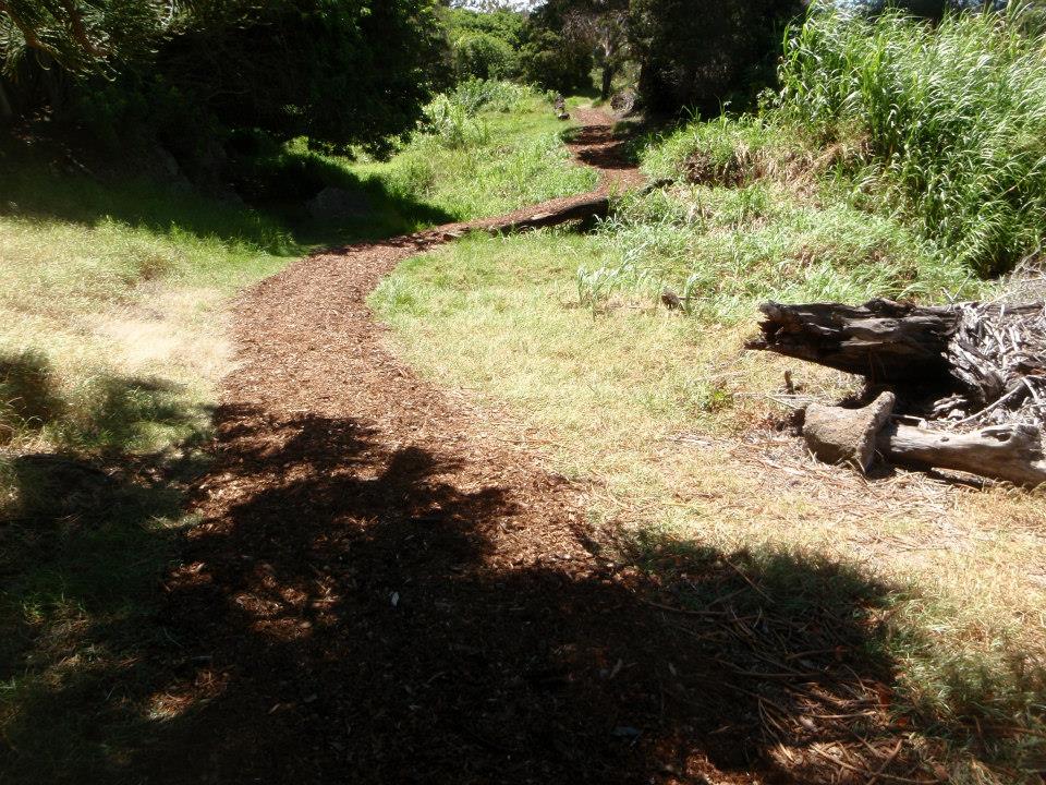 picture of trail 2