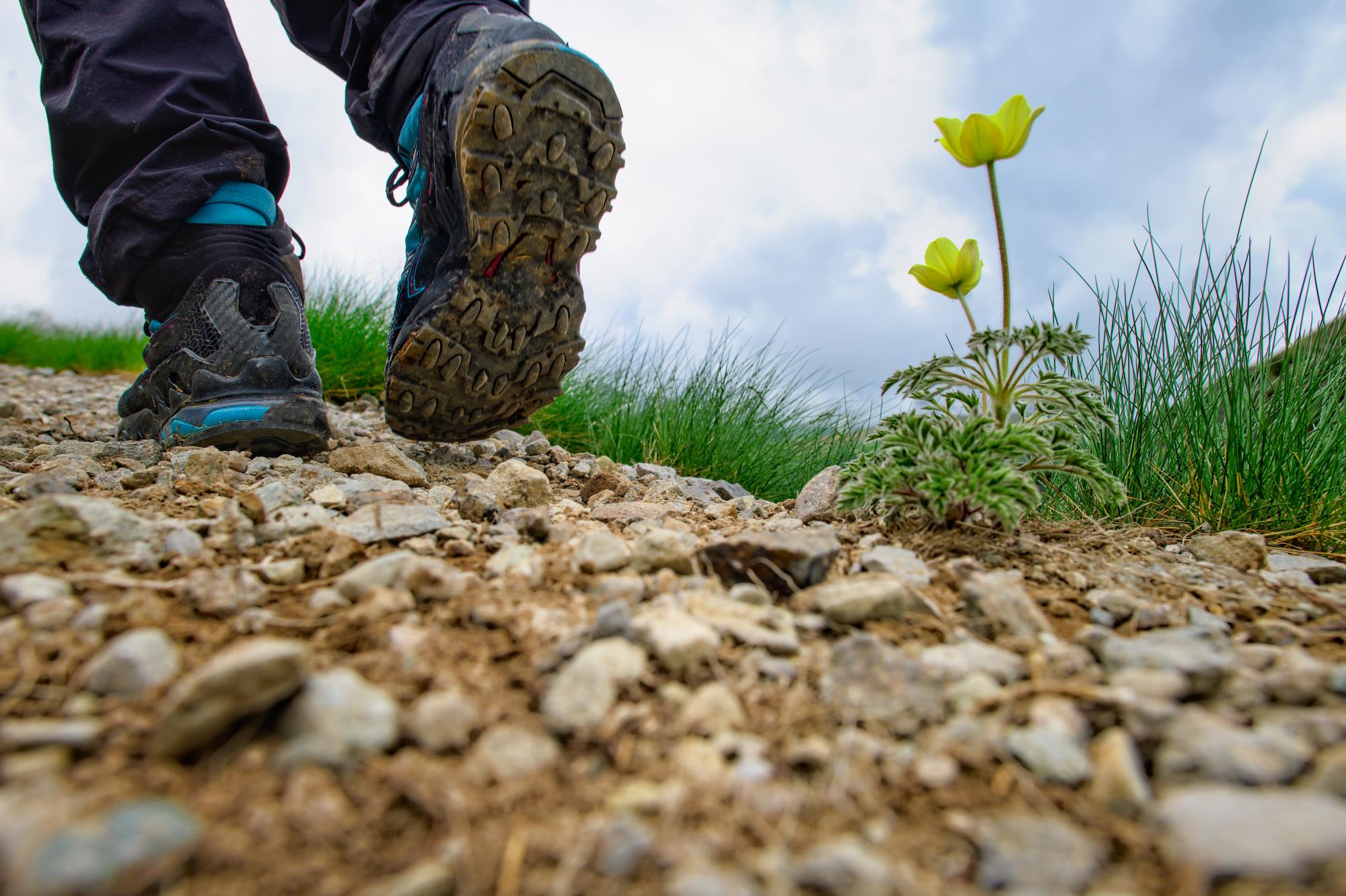 Mountain-trail-with-dirty-shoes-983539