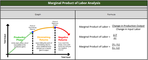 Marginal Product of Labor Analysis