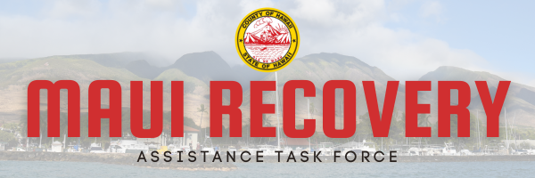 Maui Recovery Assistance Task Force (2)